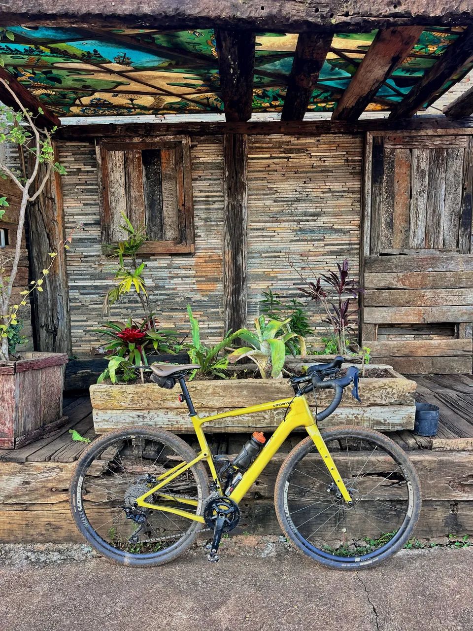 Gravel Cannondale Topstone - Foto 2