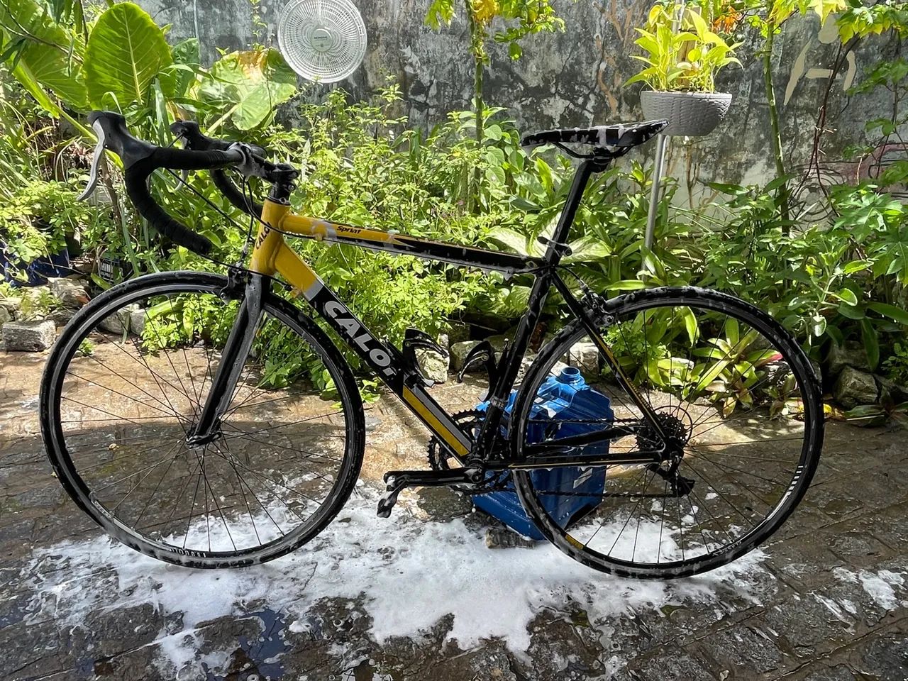 Bicicleta Speed CALOI Sprint - Foto 5