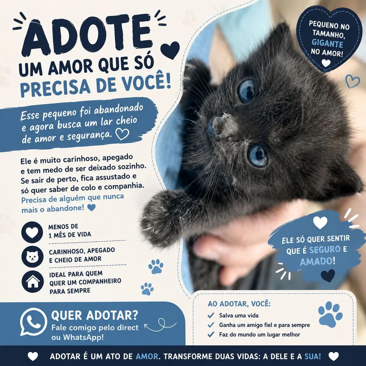 Gatinhos para adotar - Foto 3