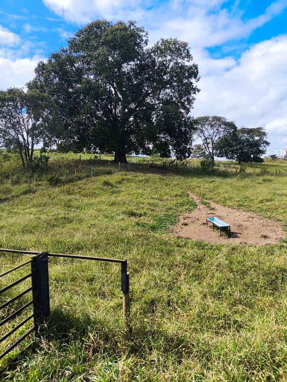 Vende-se se chácara  - Foto 4