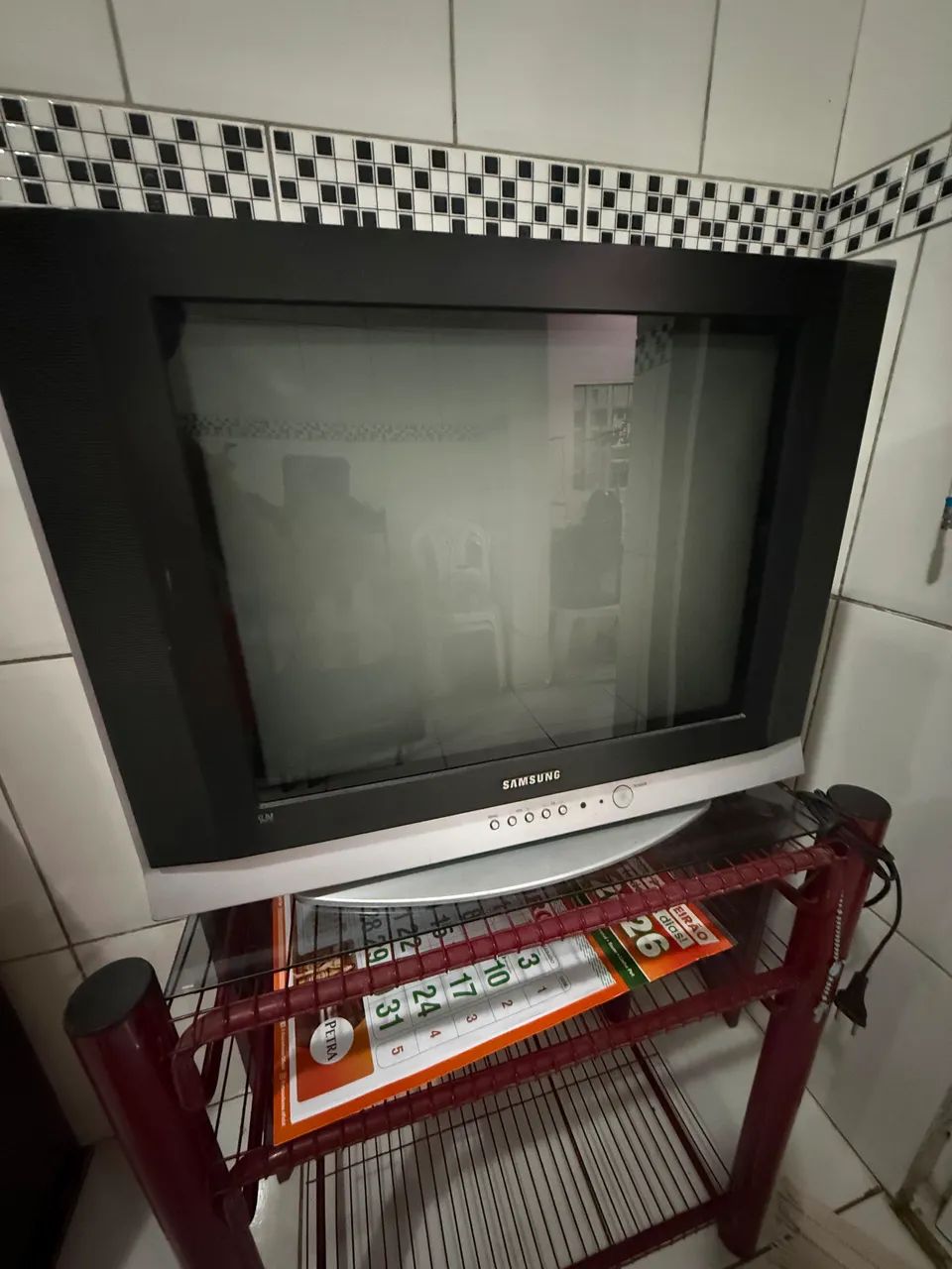Televisão