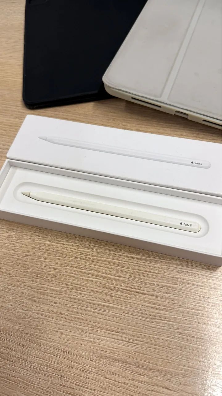 [VENDA] IPad Pro 11 Polegadas - Geração 02 + Apple Pencil e Acessórios - Foto 3