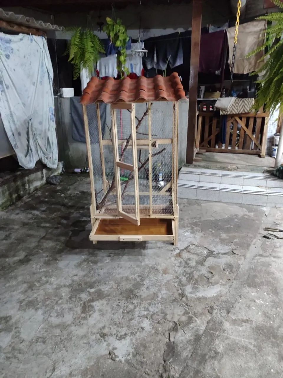 Viveiro para ringnecks 