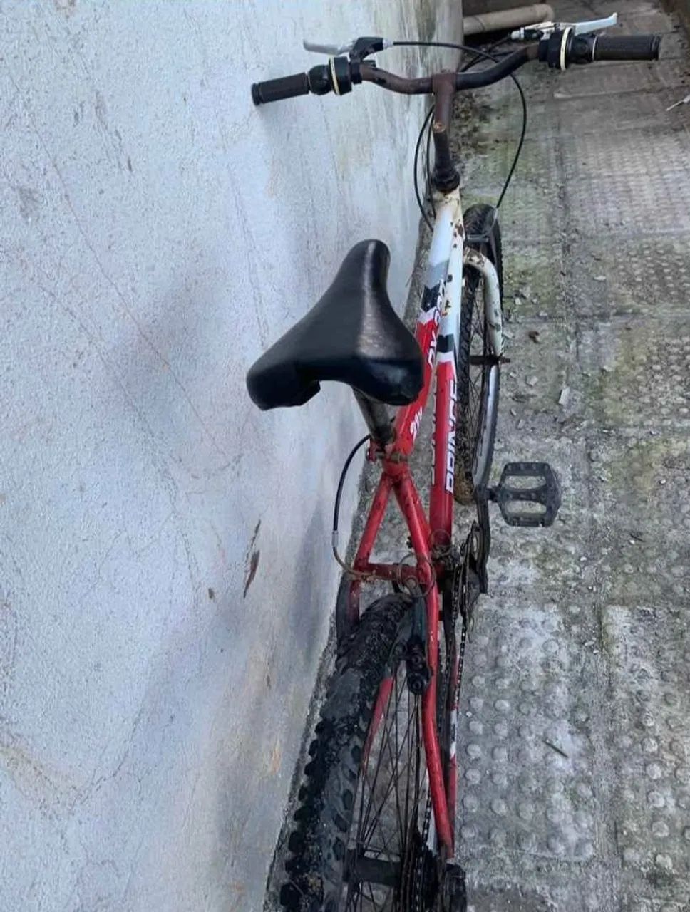 Bicicleta  - Foto 4