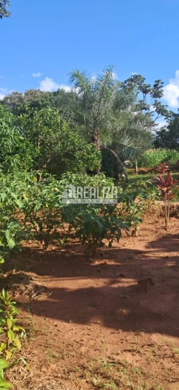 Chácara à venda próximo à Veríssimo! - Foto 4