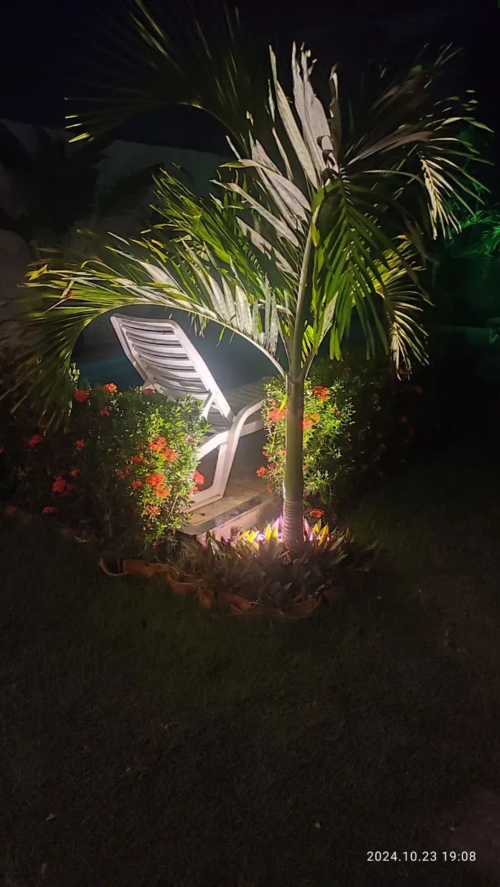 Serviço de jardinagem e paisagismo  - Foto 2