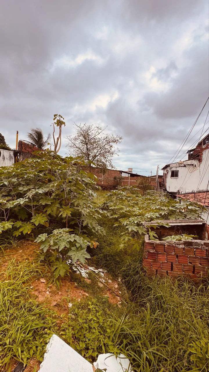Terreno a venda  - Foto 2