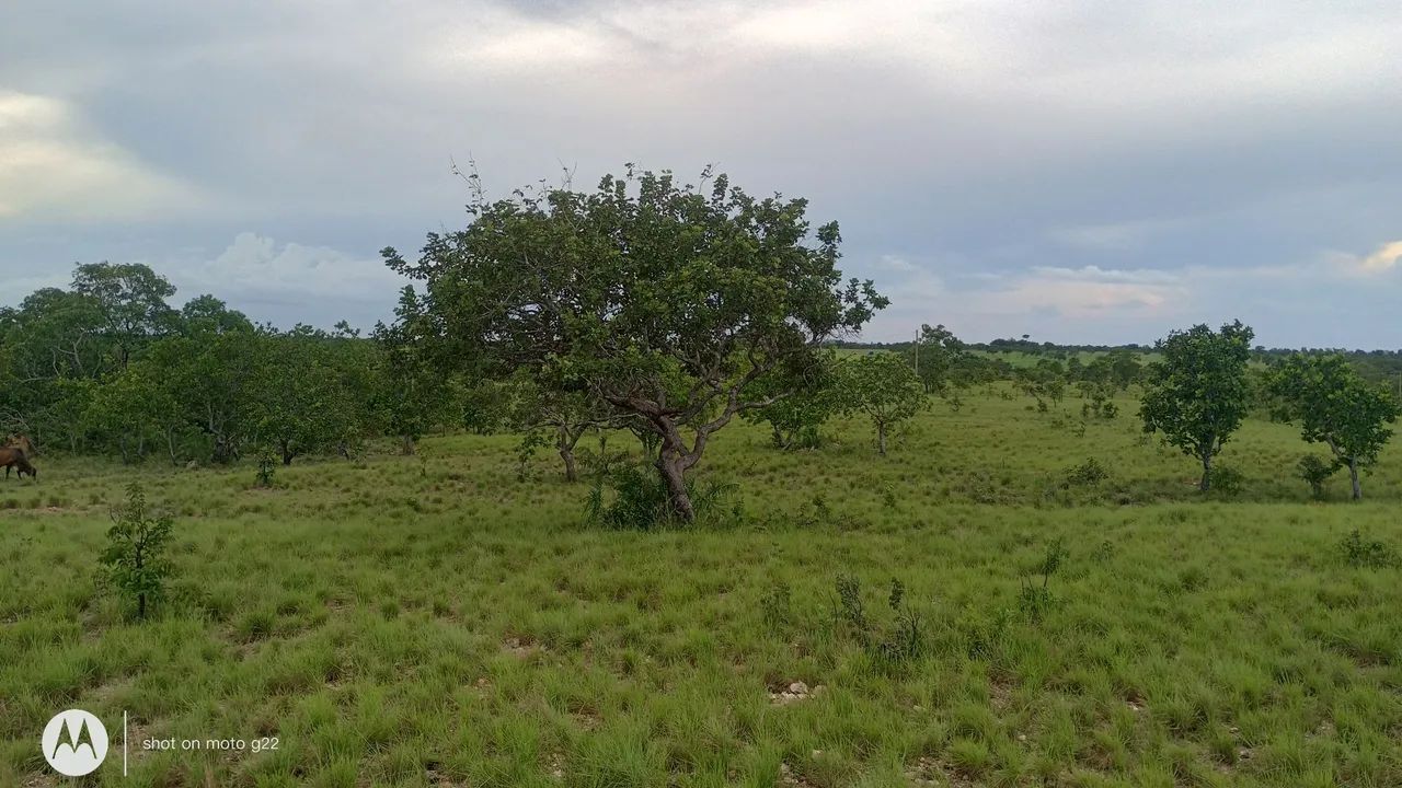 Não  - Foto 3
