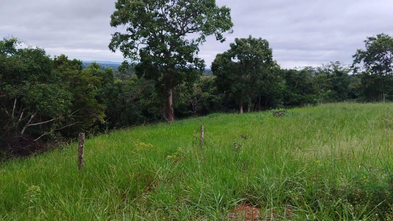 Fazenda em catalão pecuária  - Foto 4