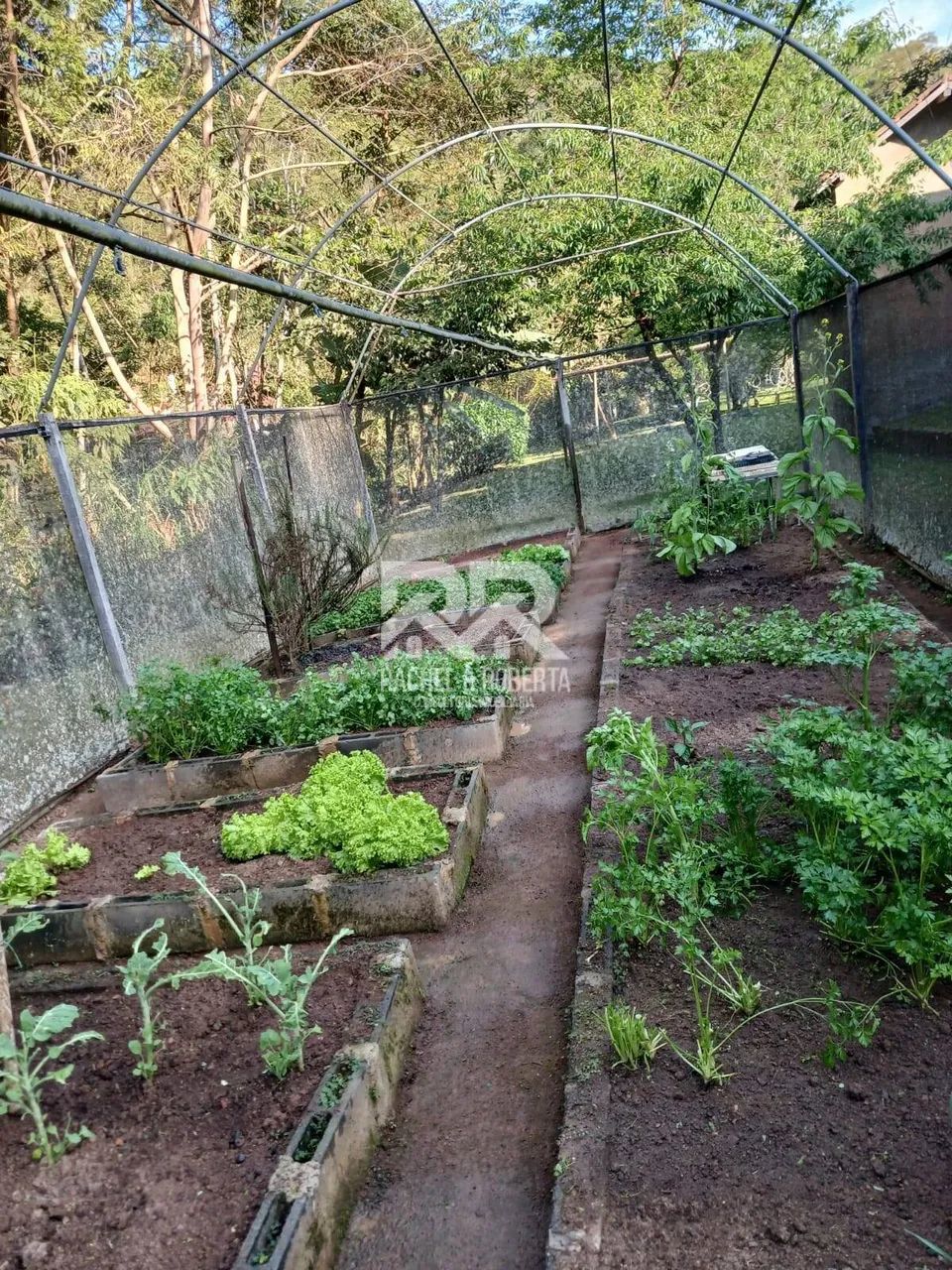Sítio dos Sonhos em Santa Rita do Brejal - Foto 3