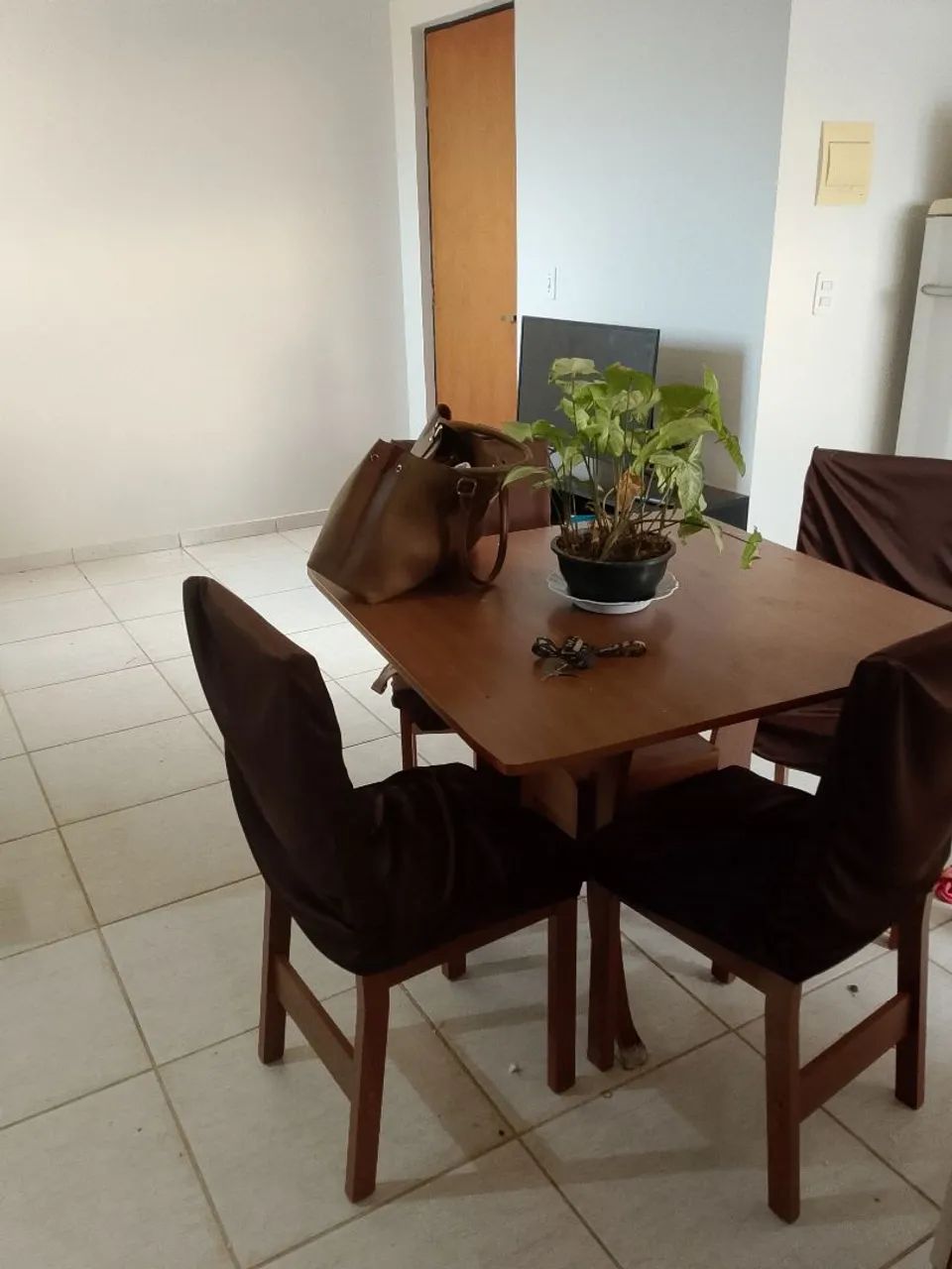 Dividir apartamento com mulheres 