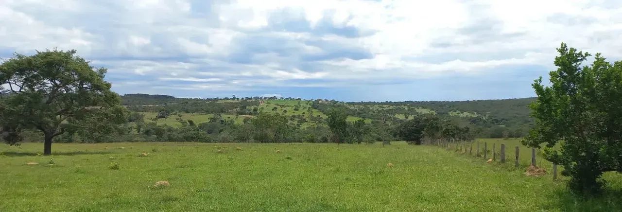 Fazenda a venda entre Catalão e Ipameri - Goiás!!! - Foto 2