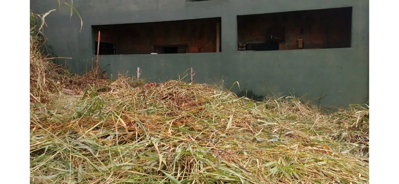 Lote a venda  - Foto 3