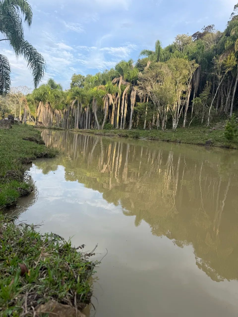 Sítio com dois lagos, nascentes e cachoeira. 5.9 hectares  - Foto 4