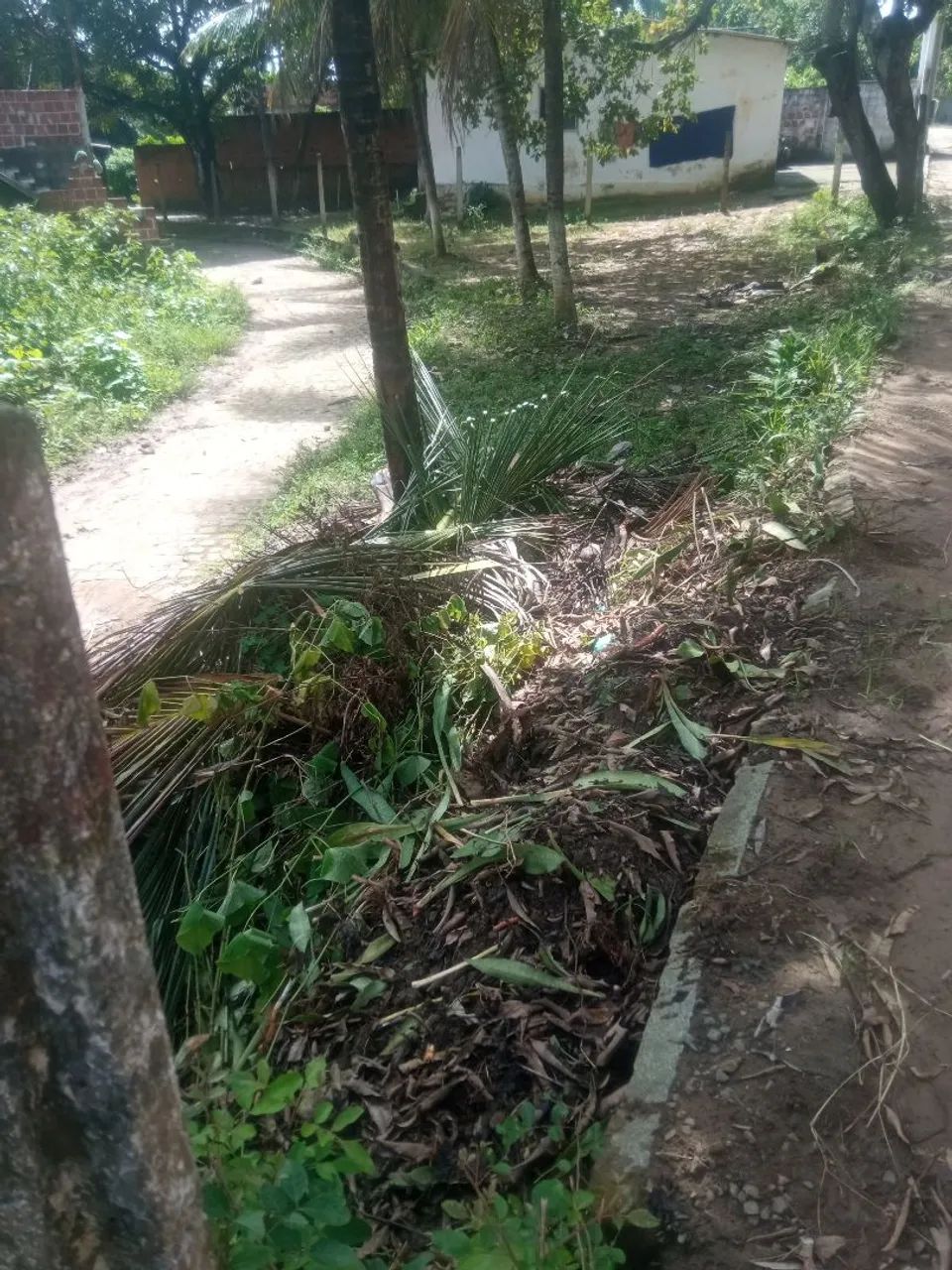 Baixei o valor do Terreno pra vender barato!!! - Foto 5