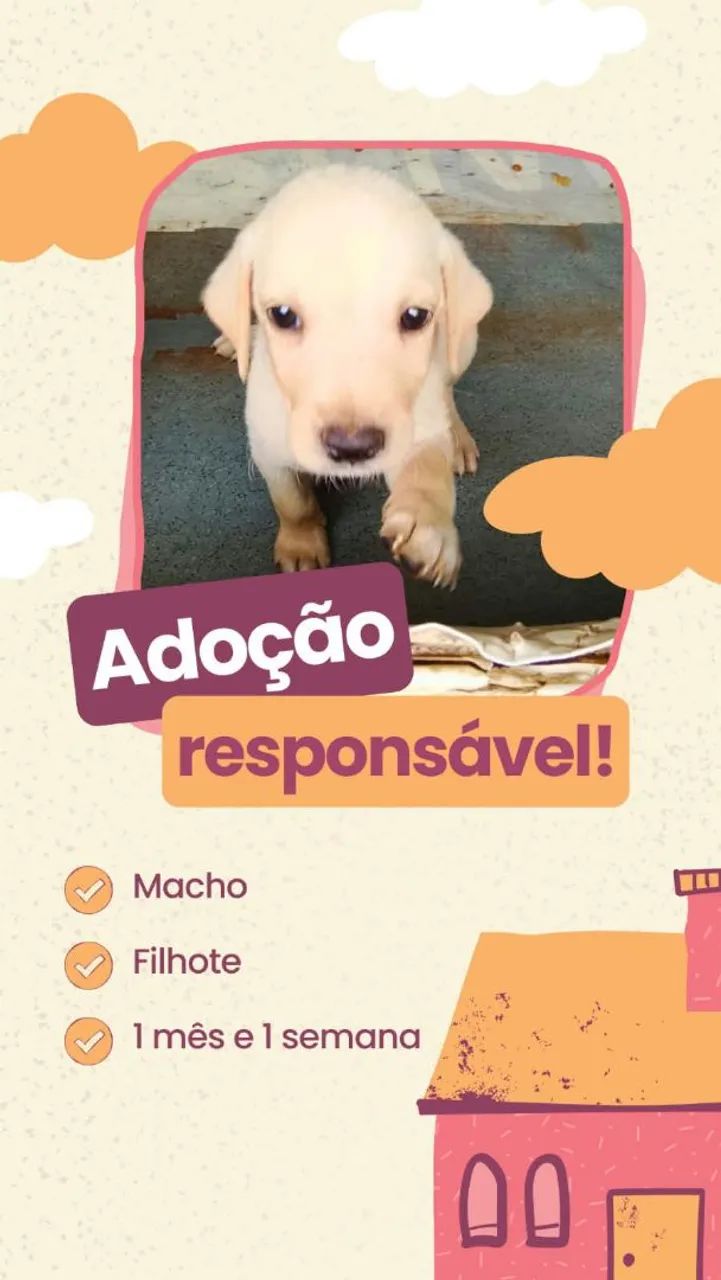 Doação de Filhotes 