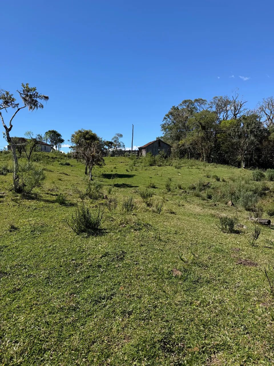 ANITÁPOLIS/SC - Lindo sítio na comunidade da serrinha - Foto 4