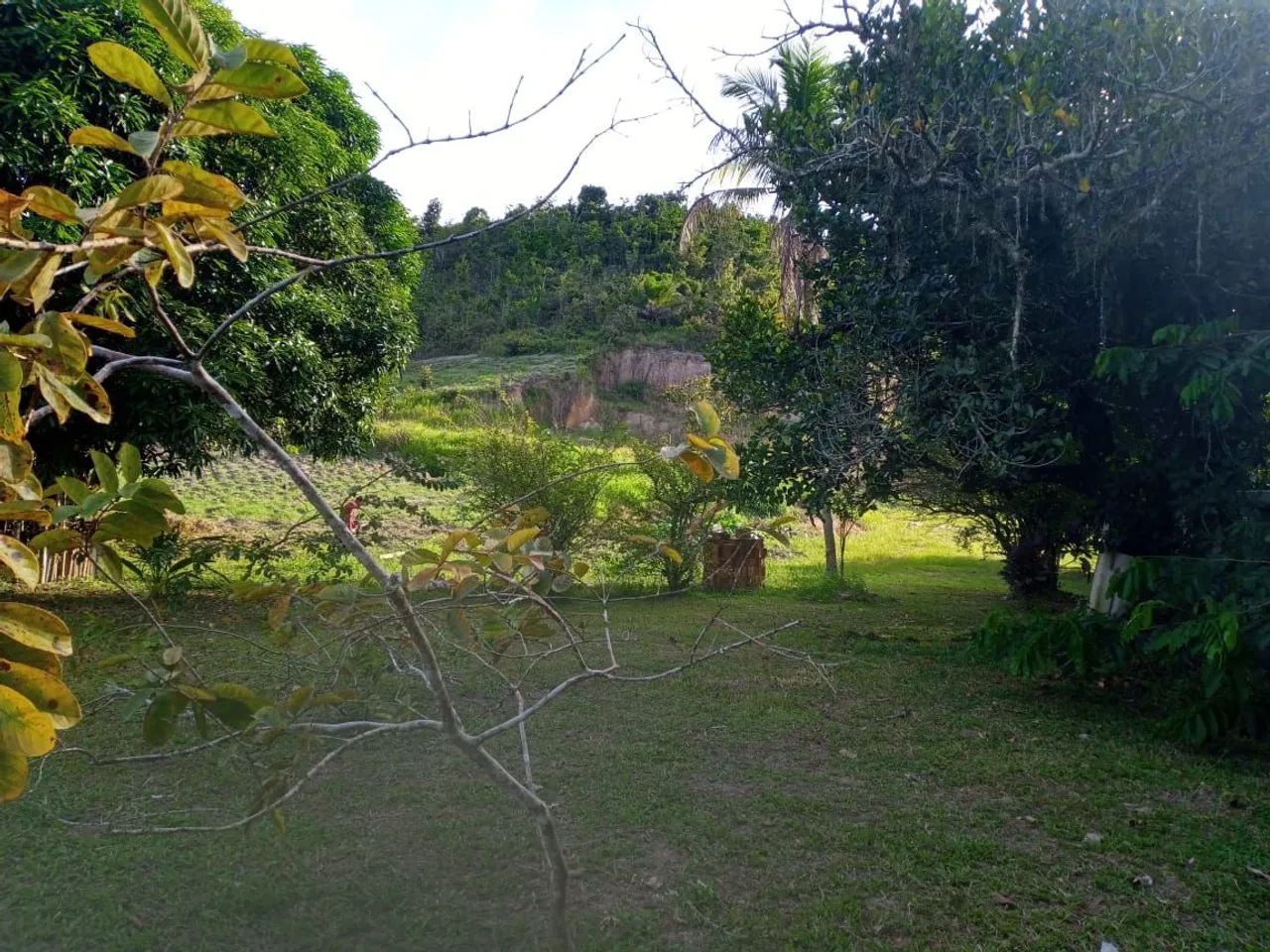 Sítio para alugar final de semana em Aldeia  - Foto 4