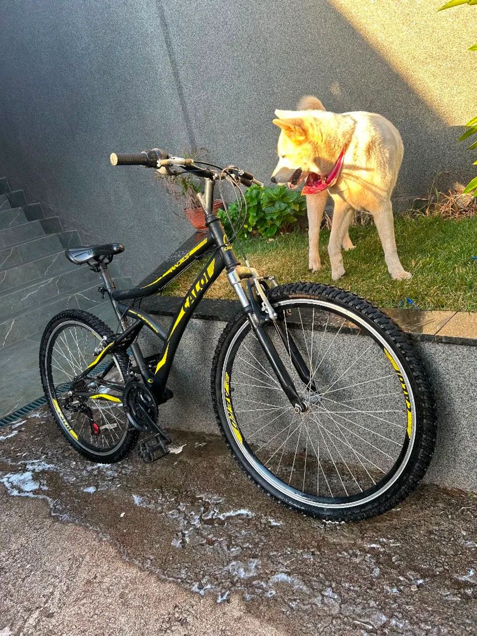 bicicleta caloi 