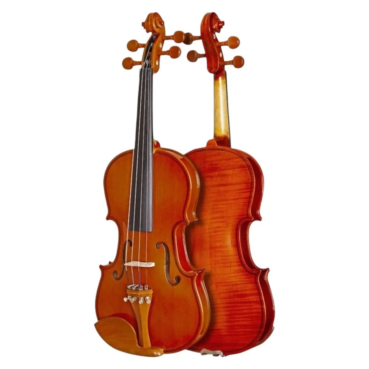 Violino - Foto 3