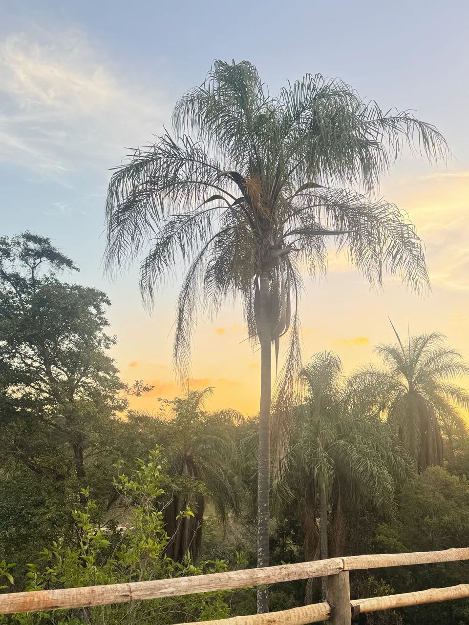 Vendo Sítio em condomínio Rural Canto da Serra - Foto 3