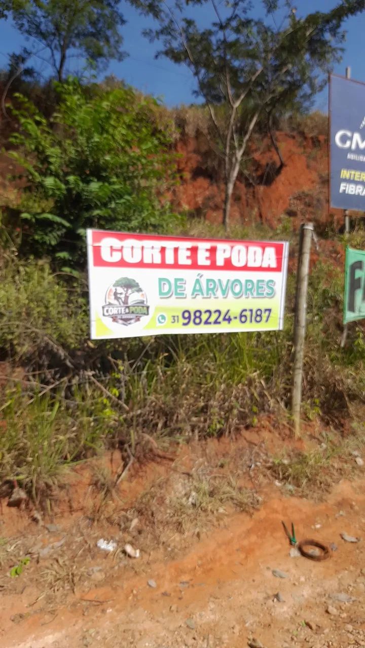 CORTE E PODA DE ÁRVORES ORÇAMENTOS PELO ZAP * 