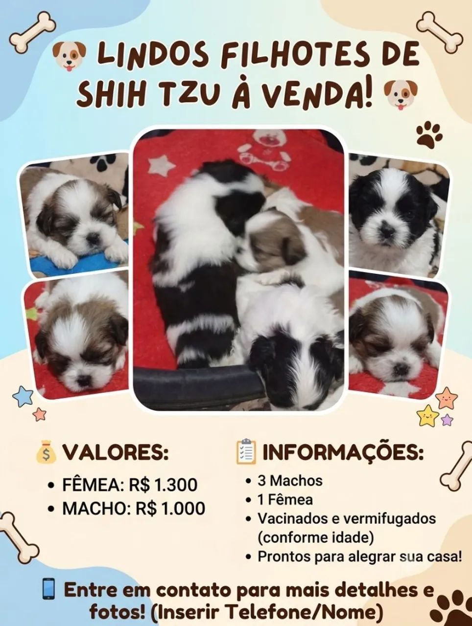 Cachorro disponível  - Foto 2