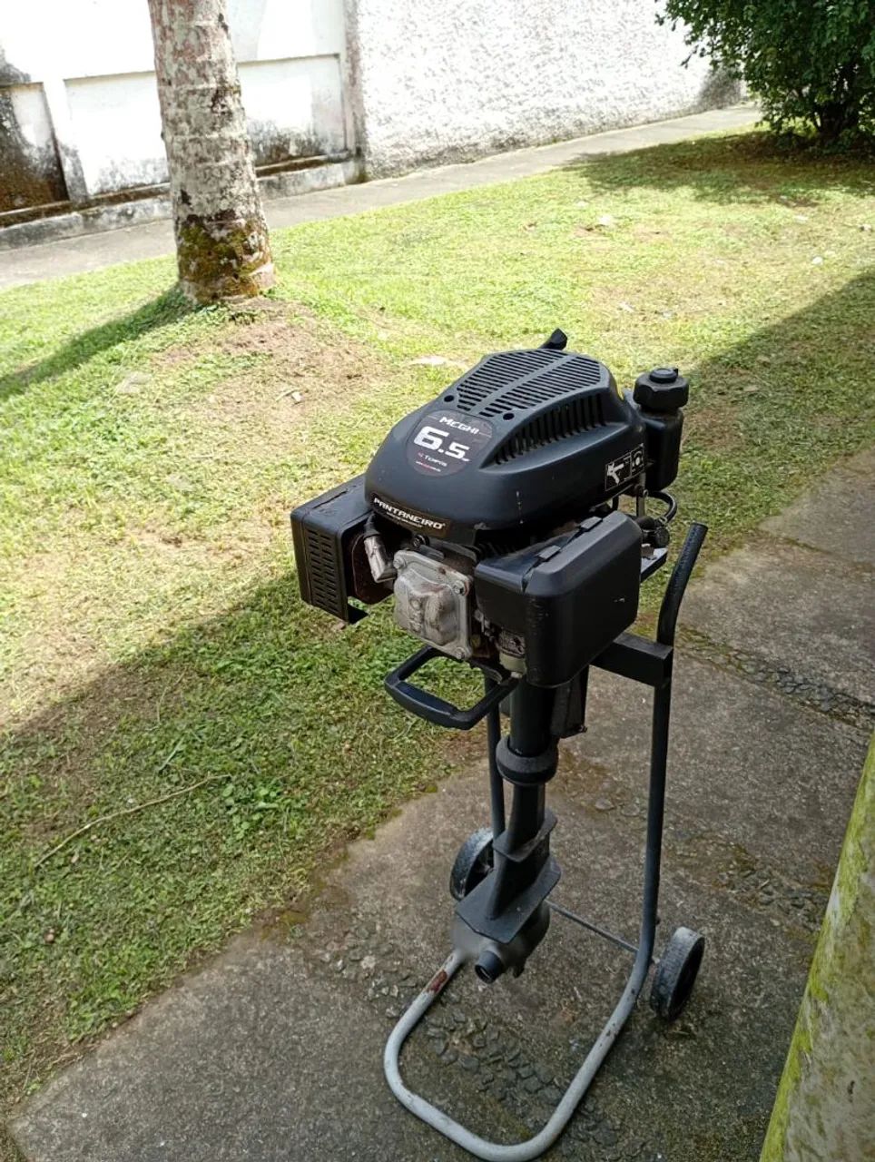 Vendo motor Pantaneiro 