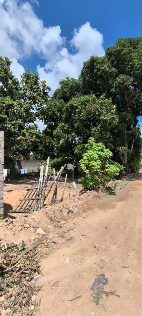 Terreno no Povoado Belo Horizonte  - Foto 3