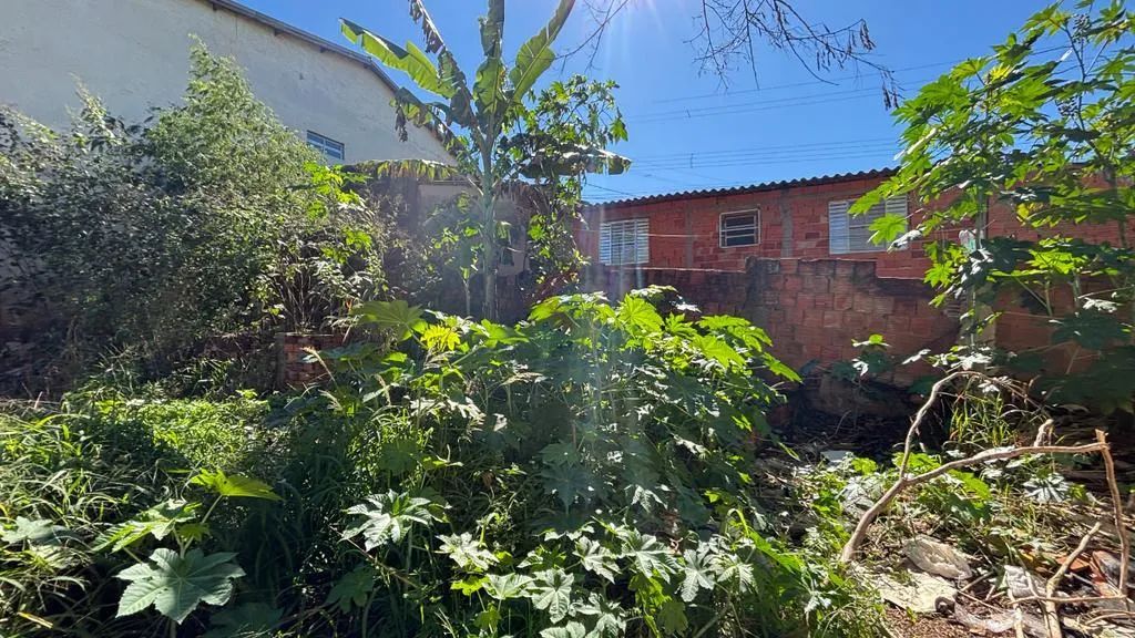Terreno à venda em Sumaré, Parque Florely (Nova Veneza) - Foto 3