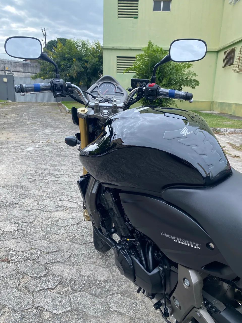 Hornet 600c
