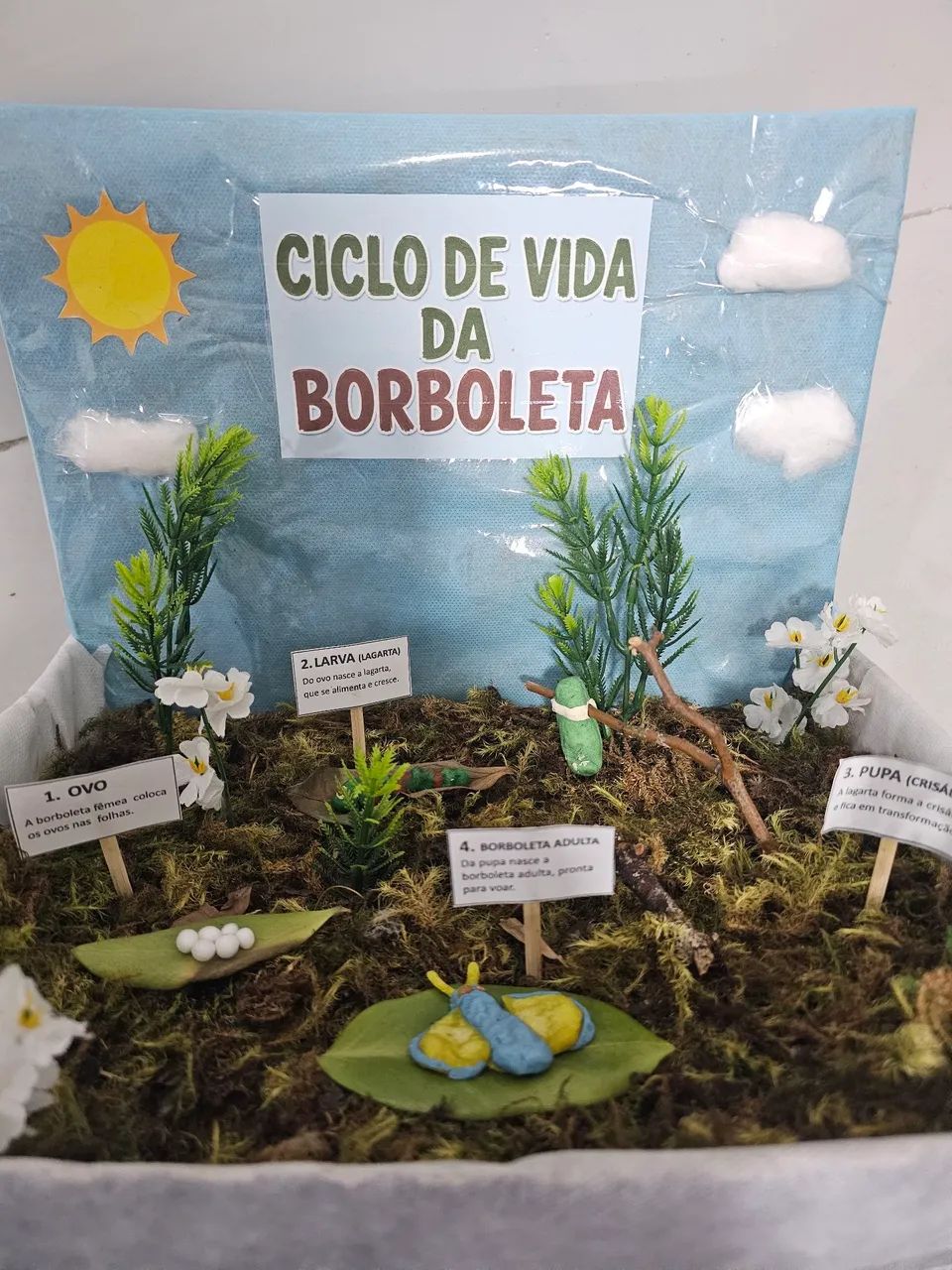 Maquete borboleta - Foto 5