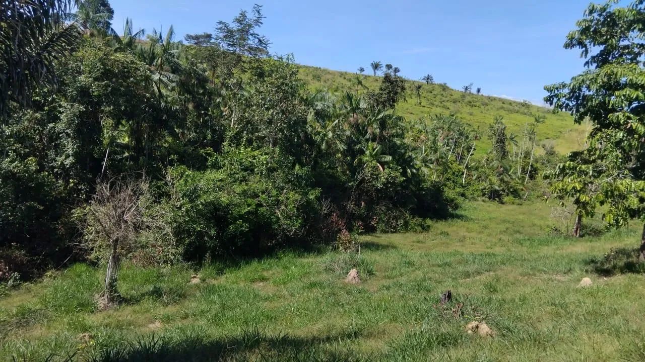 Terra de 7 alqueire - vila Brasil - Foto 4