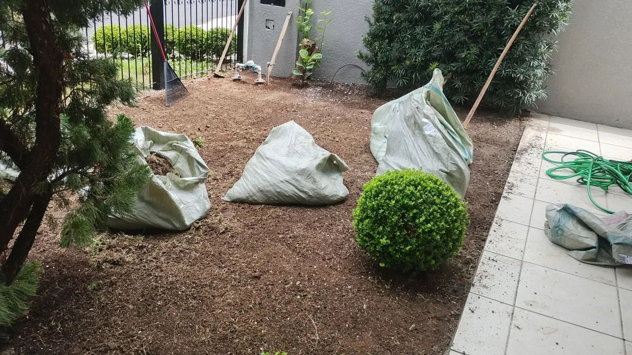 Plantio de grama  - Foto 2