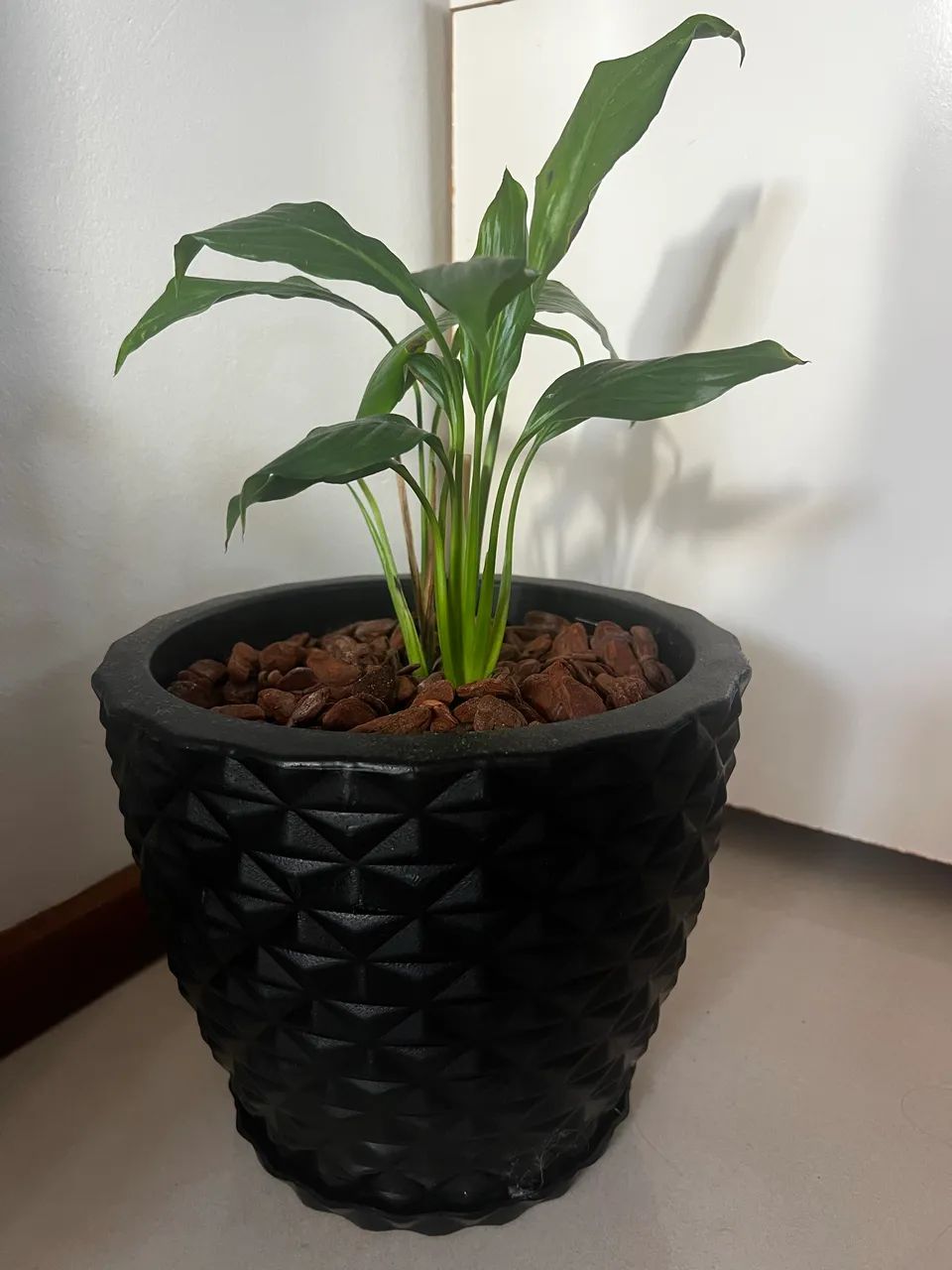 VASO COM PLANTA 