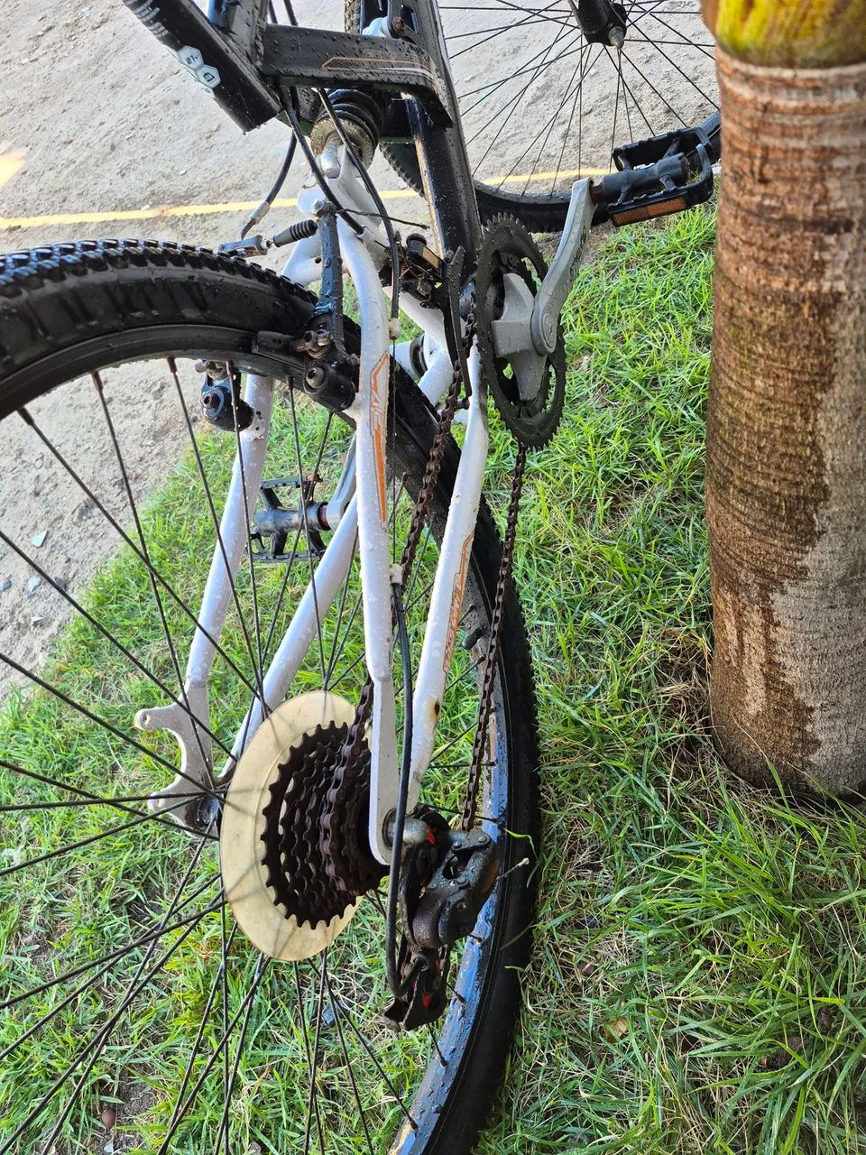 Bicicleta  - Foto 5
