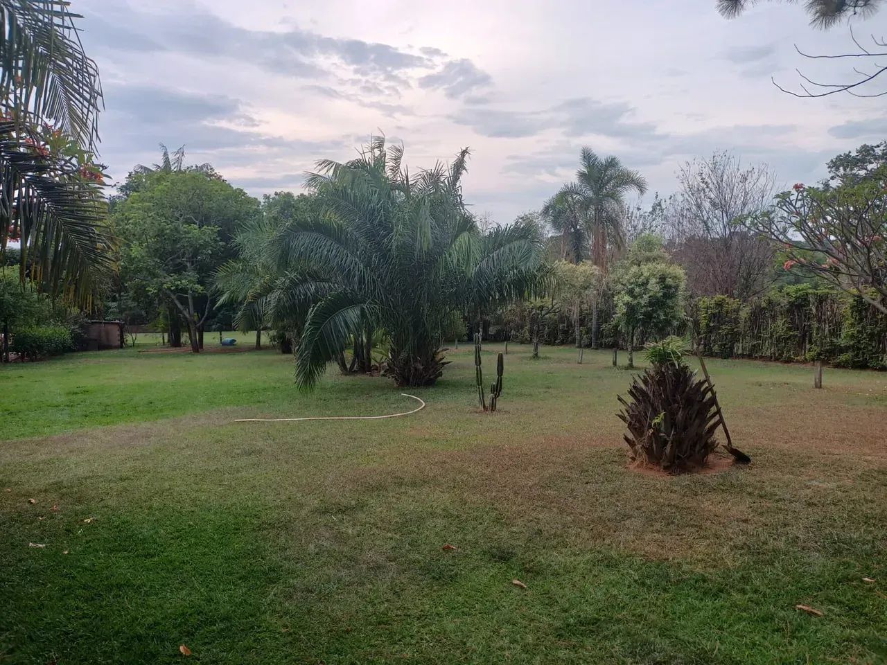 ÁREA DE 8.800 METROS LOCALIZADA NO BAIRRO CARDOSO PROX A AV RIO VERDE OPORTUNIDADE ÚNICA E - Foto 5