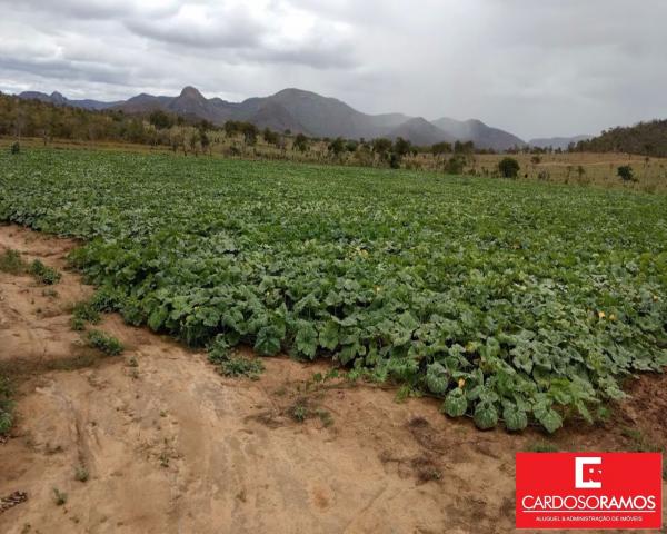 Sítio à venda em Ruy barbosa, Itaberaba cod:FA00004 - Foto 6