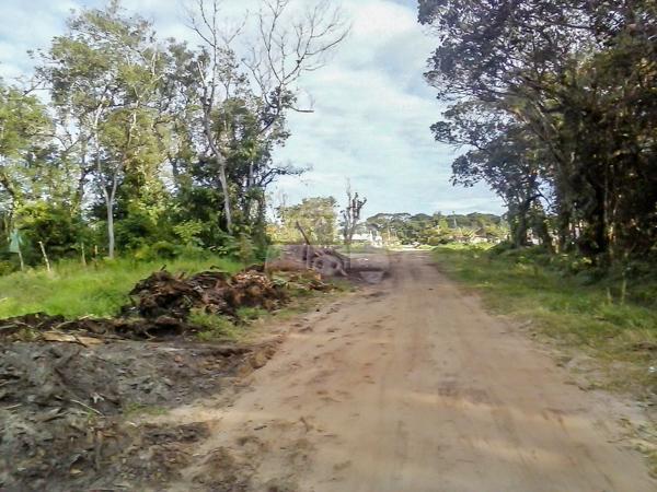 Terreno à venda em Cohapar, Guaratuba cod:125331 - Foto 6