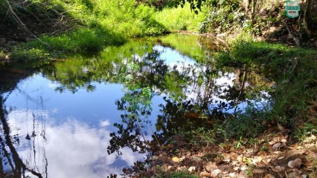 Ubaitaba. Fazenda de 78 Hectares, toda arrumada com infraestrutura e produção. - Foto 5