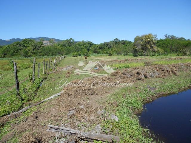 Jordão Corretores - Sítio 100% plano em agrobrasil - Foto 6