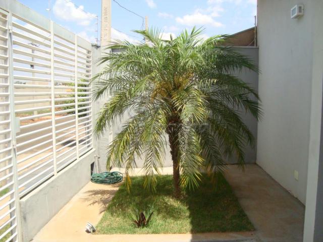 Casa à venda com 2 dormitórios em Jardim america, Jaboticabal cod:V238 - Foto 4