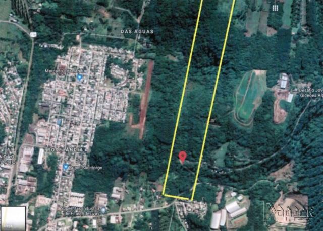 Terreno à venda em Roselândia, Novo hamburgo cod:17372