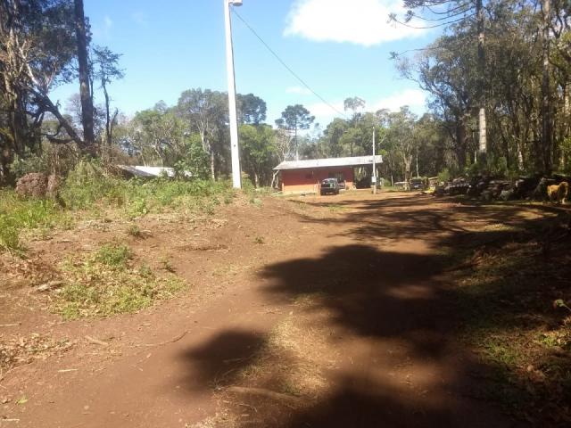 8287 | chácara à venda em guarapuava - Foto 3