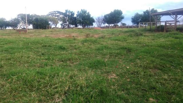 Fazenda terra de cultura município Tupaciguara - Foto 5