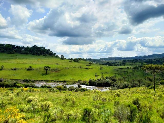 Exuberante Imóvel em Urupema com Rio - Foto 3