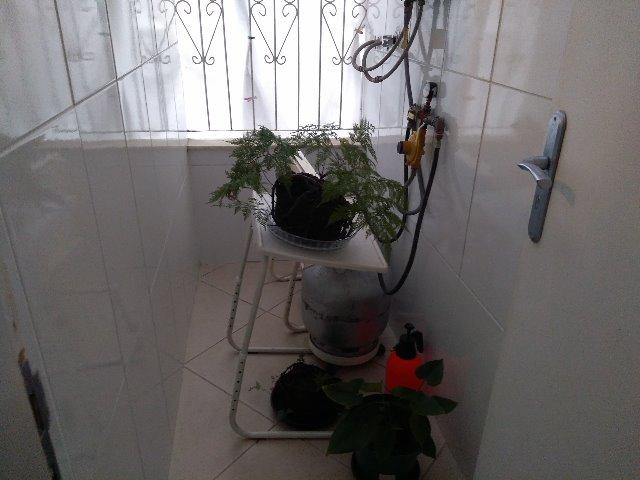 Apartamento 3q em Friburgo - Foto 13