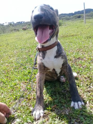 So essa semana - Foto 3