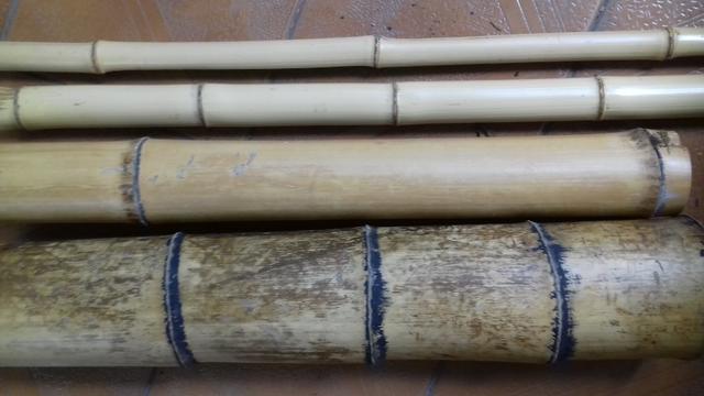 Bambu cana da índia de 4 cm a 5 cm de diâmetro - Foto 2