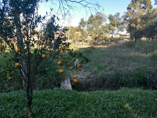 Chacarra a venda - Foto 6